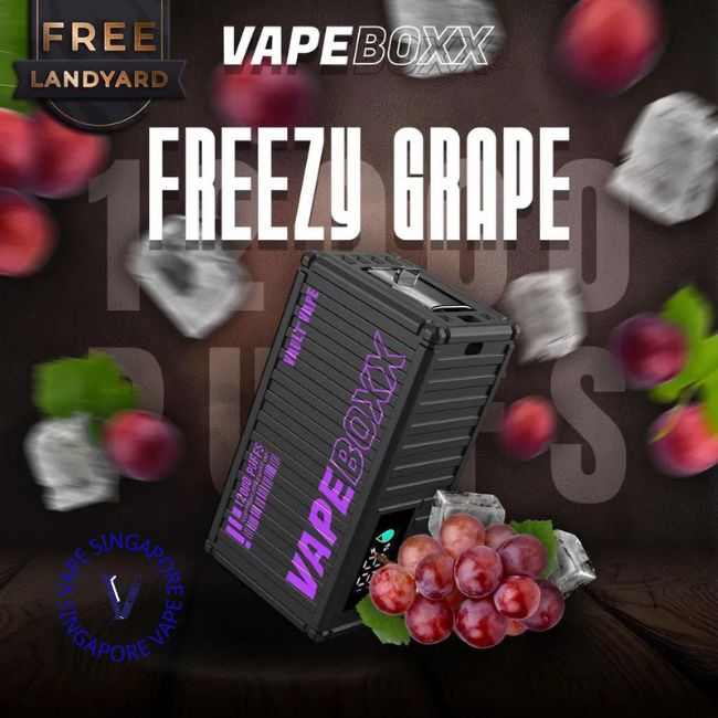 vapeboxx-12k-puff-freezy-grape-disposable-vape-shop-singapore